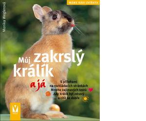 Můj zakrslý králík a já