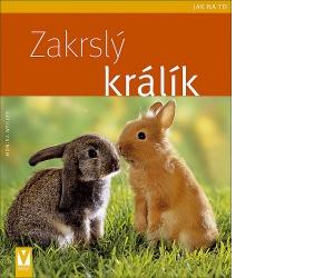 Zakrslý králík