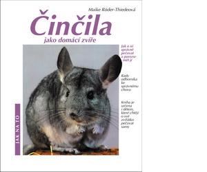 Činčila