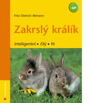 Zakrslý králík inteligentní, čilý, fit