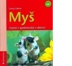 Myš - zvědavá, čilá, fit
