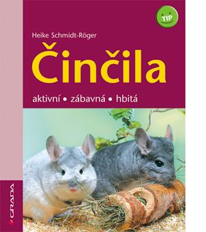 Činčila - aktivní, zábavná, hbitá