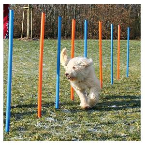 AGILITY Slalom, tyče 12ks