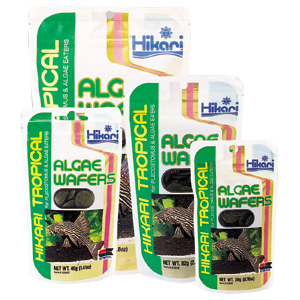 HIKARI TROPICAL ALGAE WAFERS 20G, 40G, 82G, 250G a 1KG