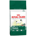 Royal Canin MINI Mature pro stárnoucí psy, 2 kg-POUZE DO VYPRODÁNÍ