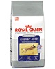 Royal Canin Performance Energy 4300, krátkodobá zátěž, 15kg