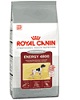 Royal Canin - Performance Energy 4800, vysoký přísun energie, 15 kg