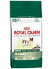 Royal Canin MINI Beauty, pro lesklou srst, 0,5 kg