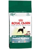 Royal Canin MINI Dental hygiene, od 10 měs., 1,5 kg