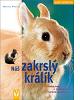 Náš zakrslý králík