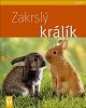 Zakrslý králík