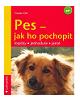 Pes – jak ho pochopit