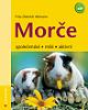 Morče společenské, milé, aktivní
