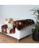 Plyšová deka Browny 150x100cm