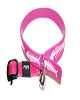 Rogz obojek Elasto Cat Collar FishBones Purple
