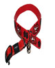 Rogz obojek Elasto Cat Collar Jerry Red